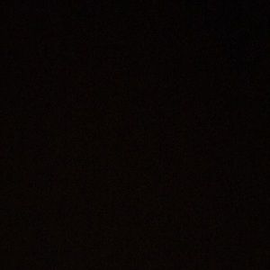 Meet your Posher, Kyra